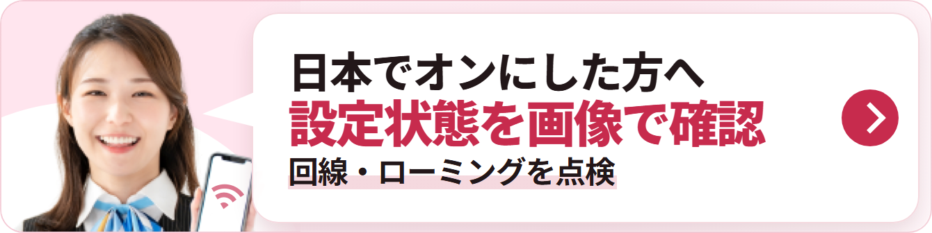 日本でオンにした方へ 設定状態を画像で確認 回線・ローミングを点検